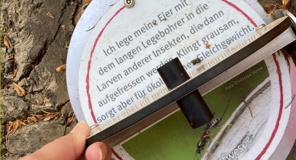Ausflug mit Kindern OWL - Ausflugsziele, Unternehmungen