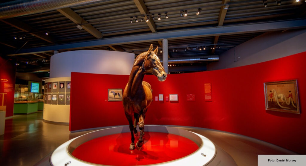 Fabelhafte Beste Museen Nrw Bild