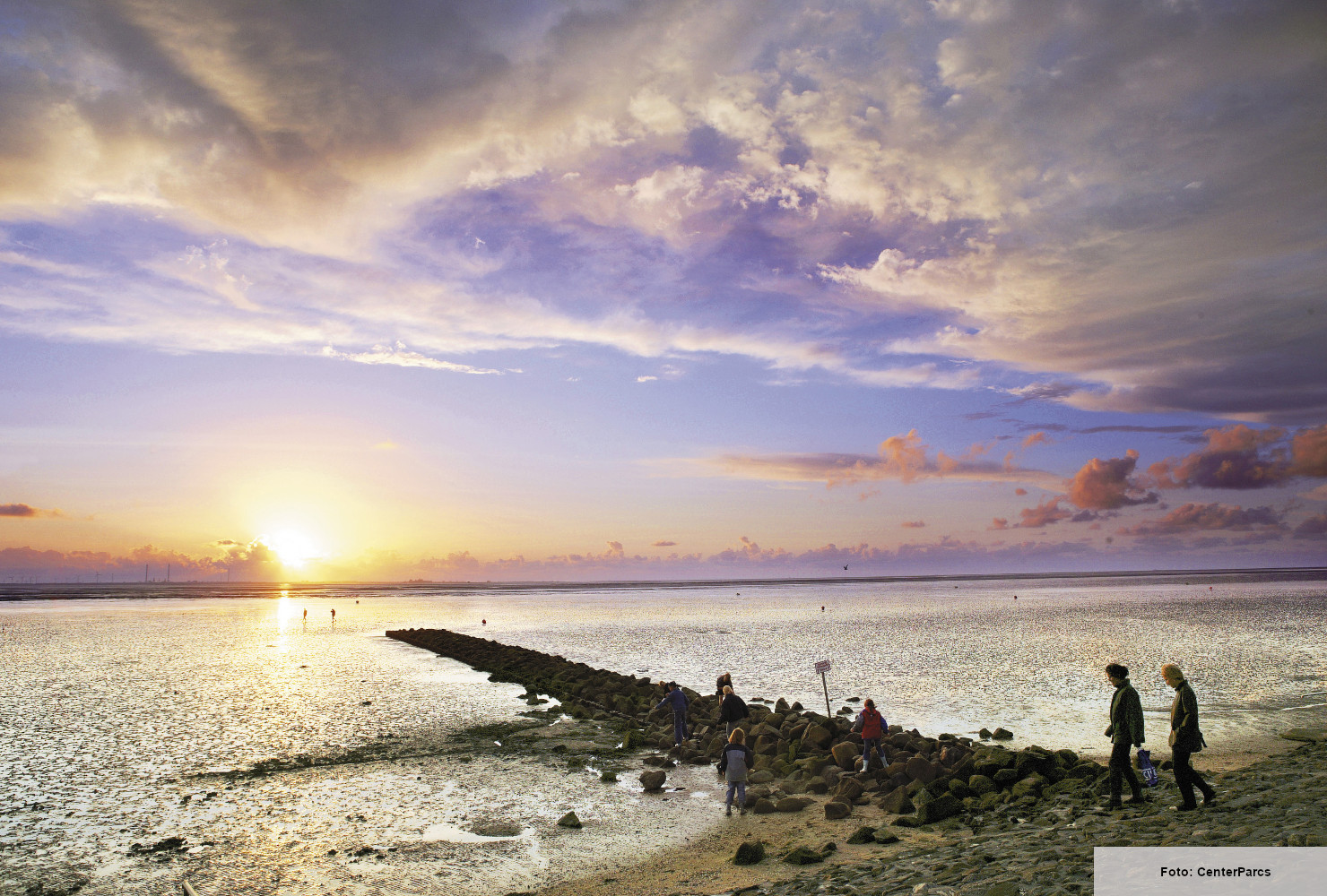 Header CP NS 5