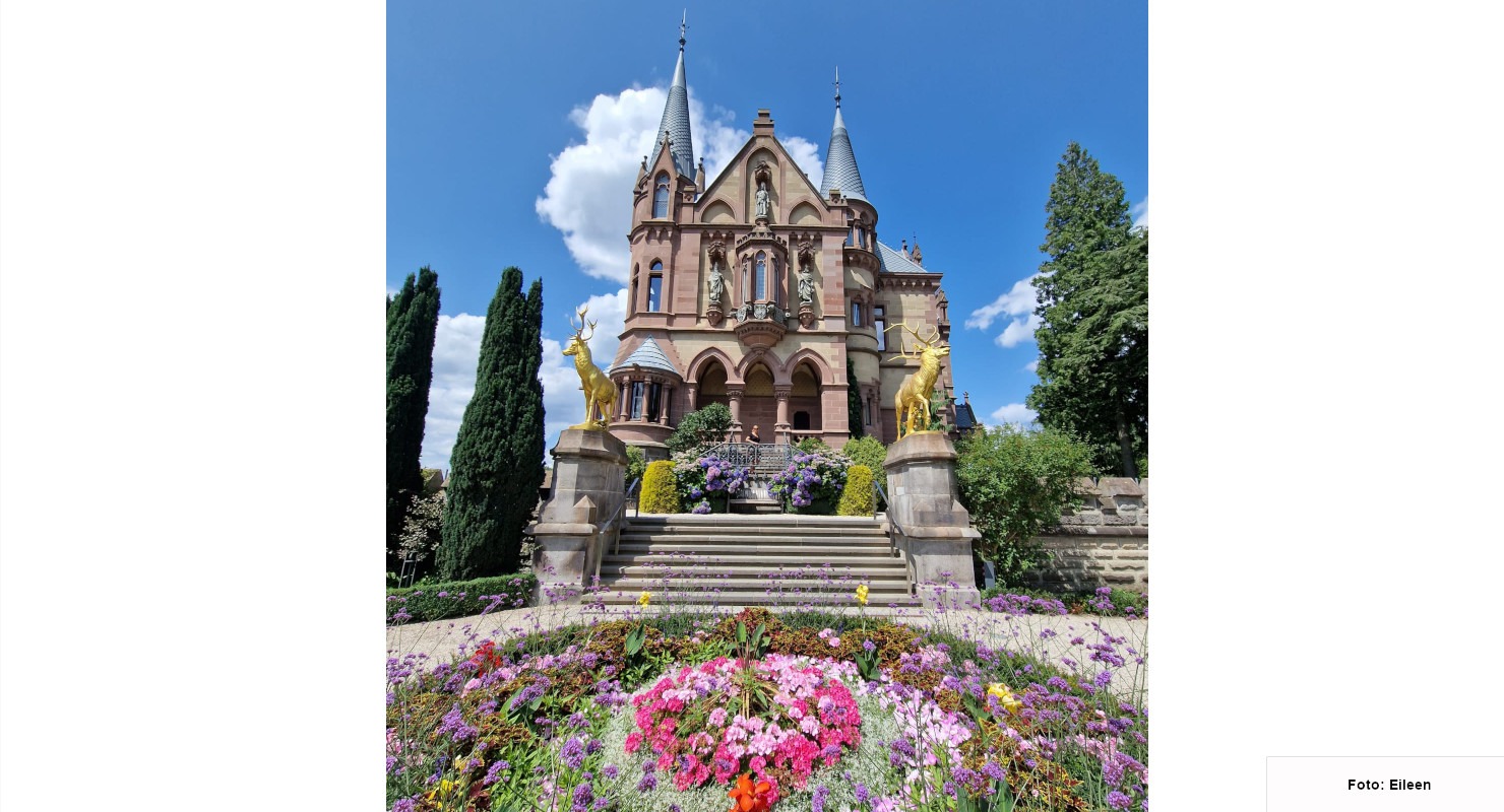 Header Schloss Drachenfels