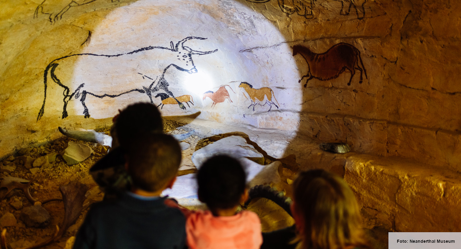 Header Neanderthal Museum 10
