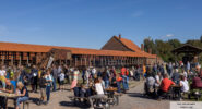 Header Kartoffelfest Ziegelei 2 1 185x100