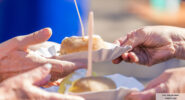 Header Kartoffelfest Ziegelei 3 1 185x100