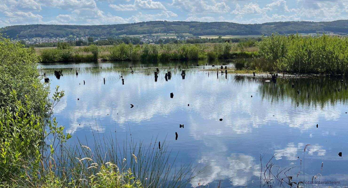 Header Torfmoor