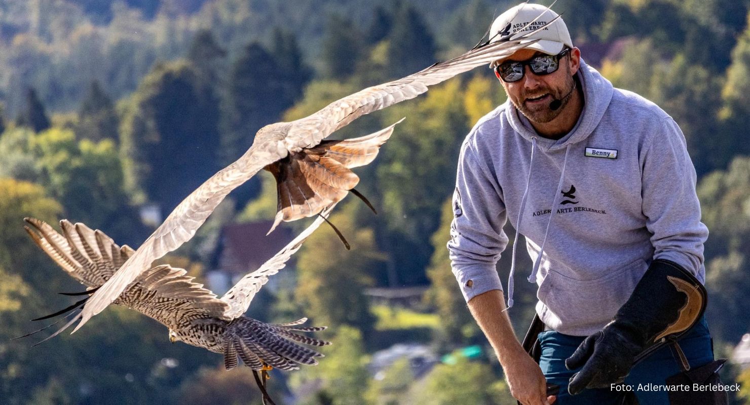 Header Adlerwarte Berlebeck 1
