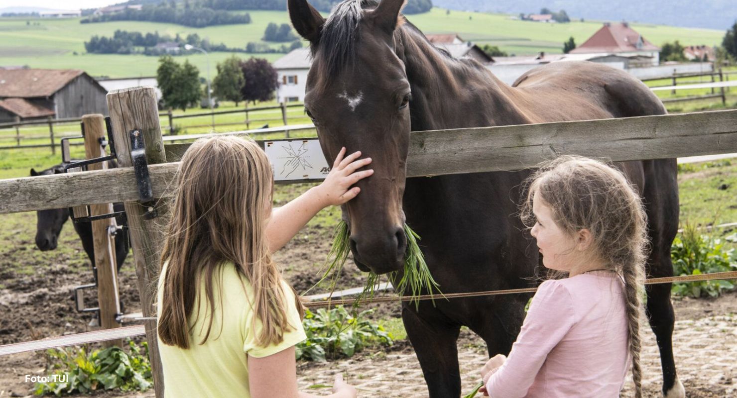 Header TUI BOehmerwald 1