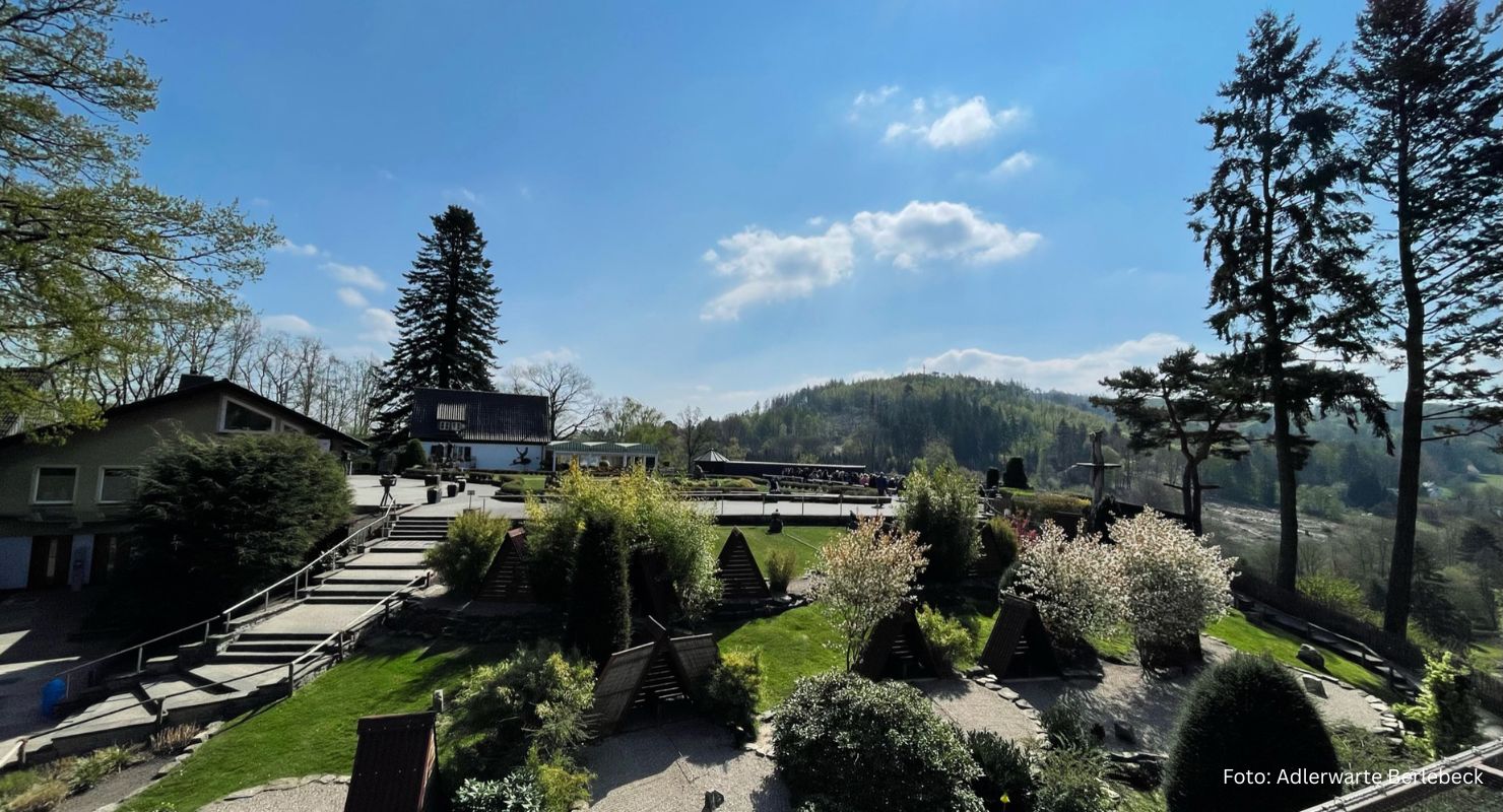 Header Adlerwarte Berlebeck 2