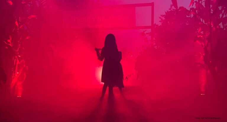 Header 30 768x415