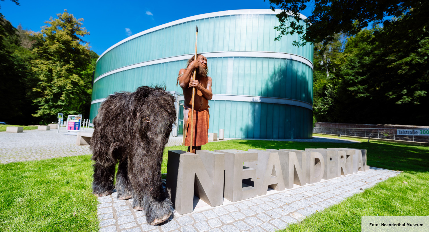 Header Neanderthal Museum 3
