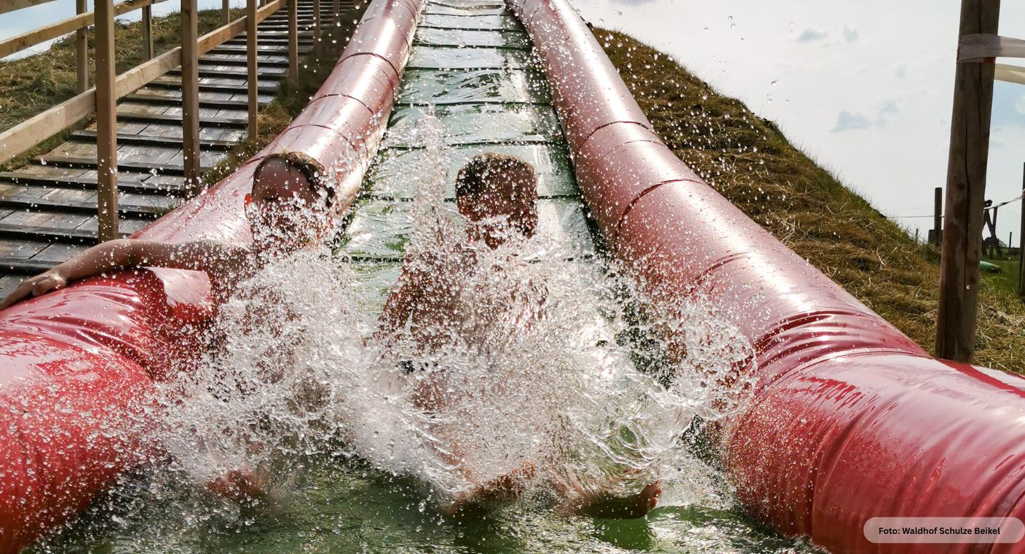 Liebling 25 landluemmel 1