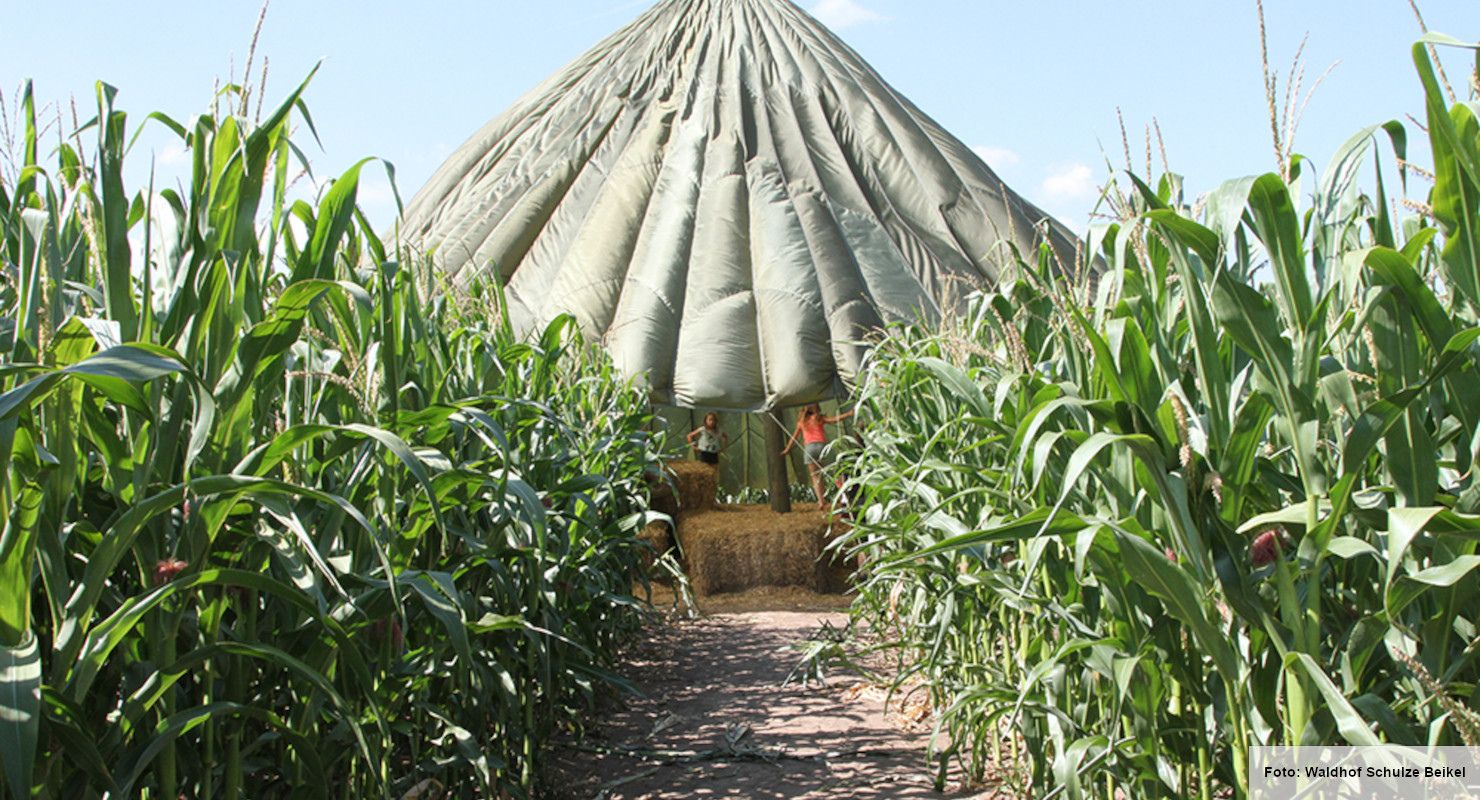 Liebling 25 landluemmel 2