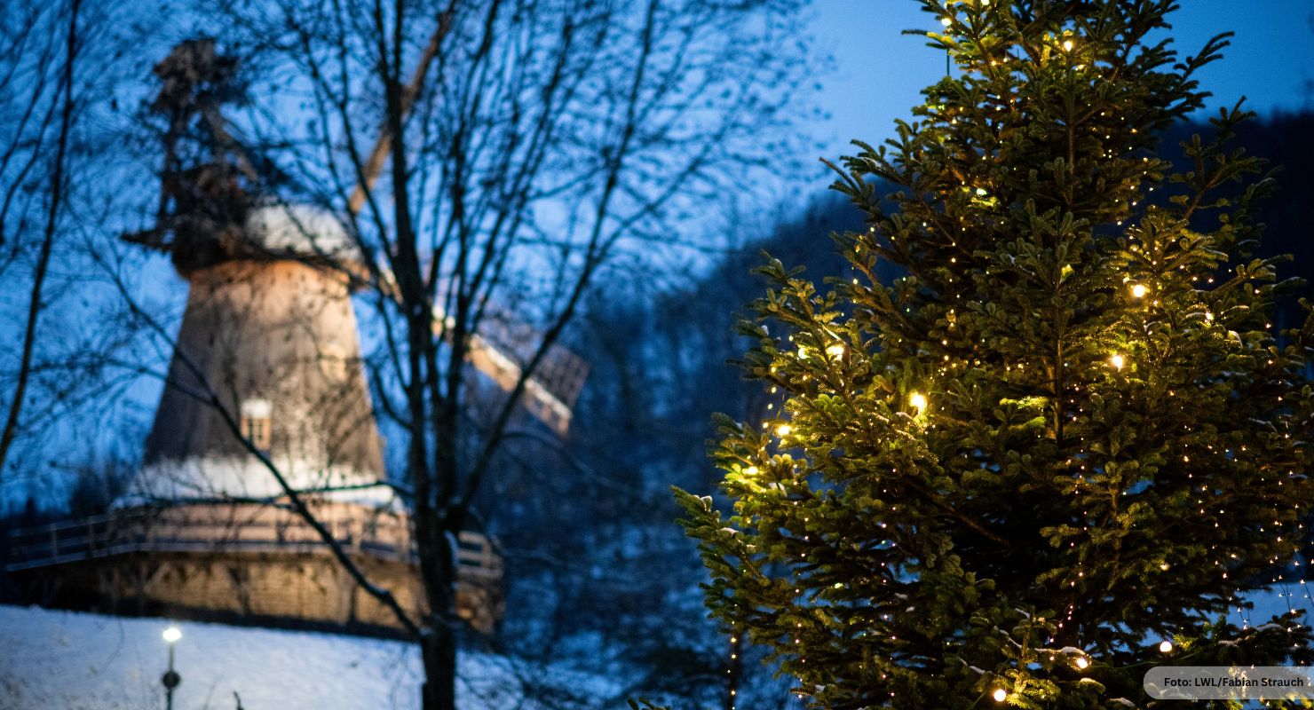 Header WM Hagen LWL 3