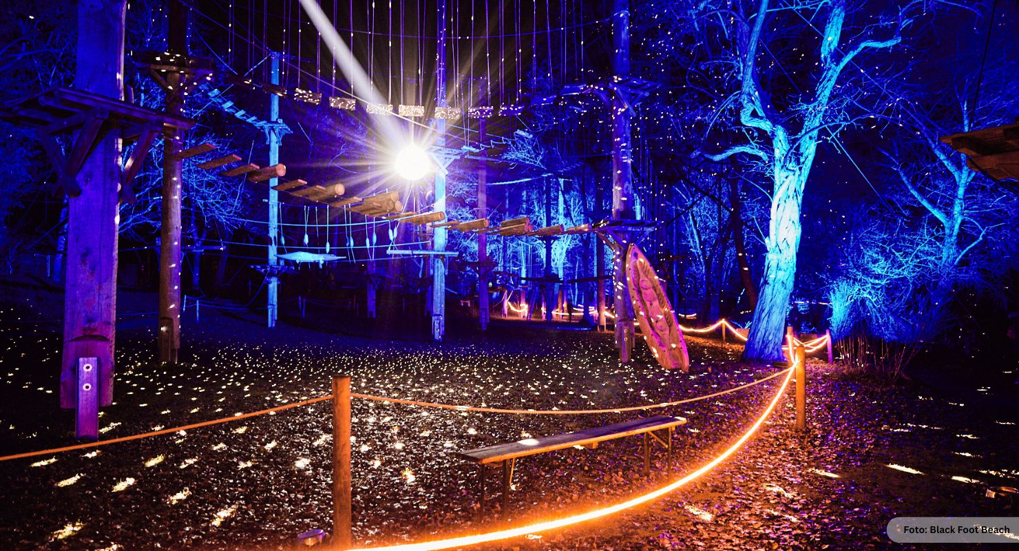 Header BFBeach Winter 8