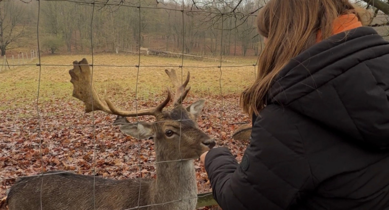 Header_Neue_Ausflugsziele