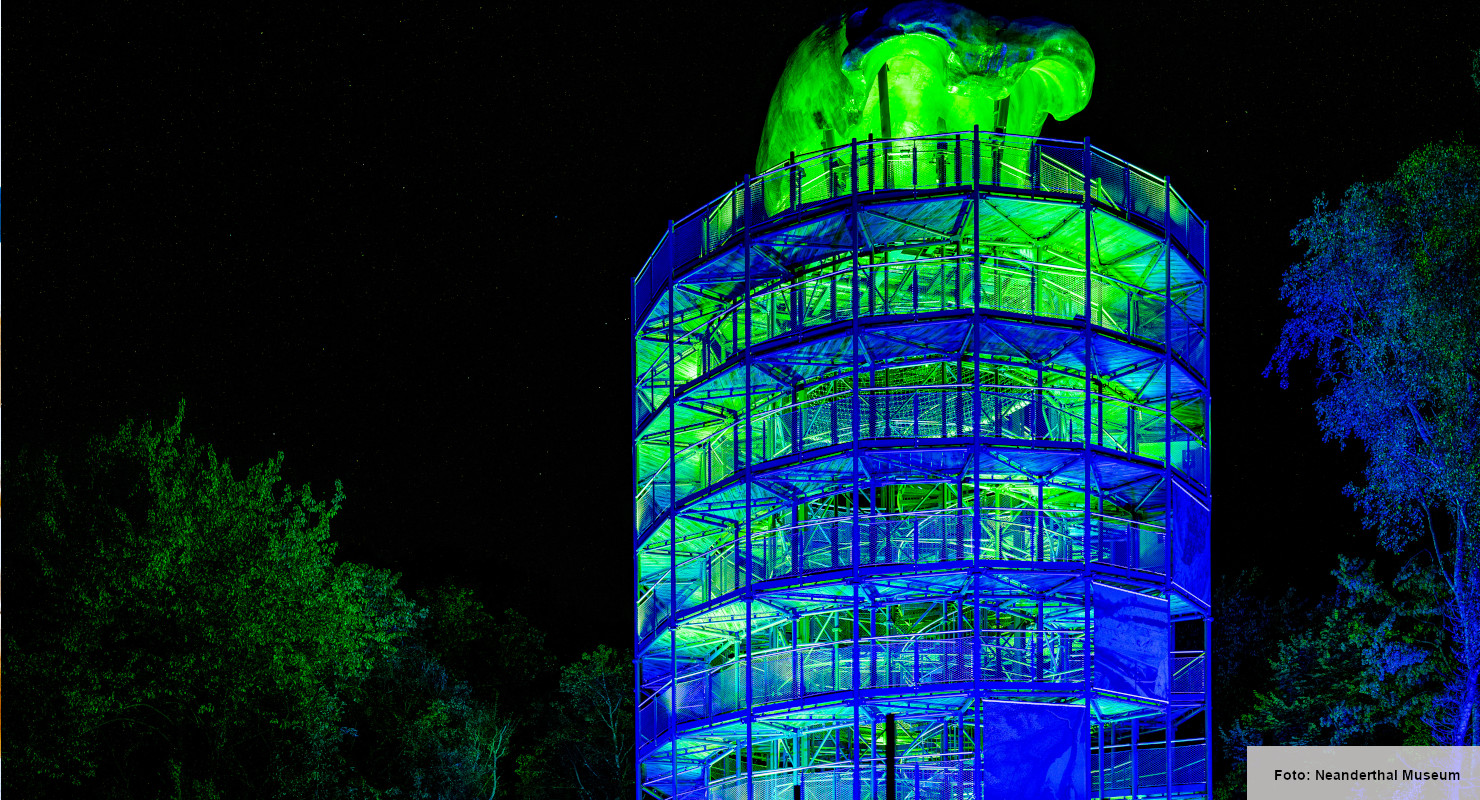 Header Neanderthal Museum 12