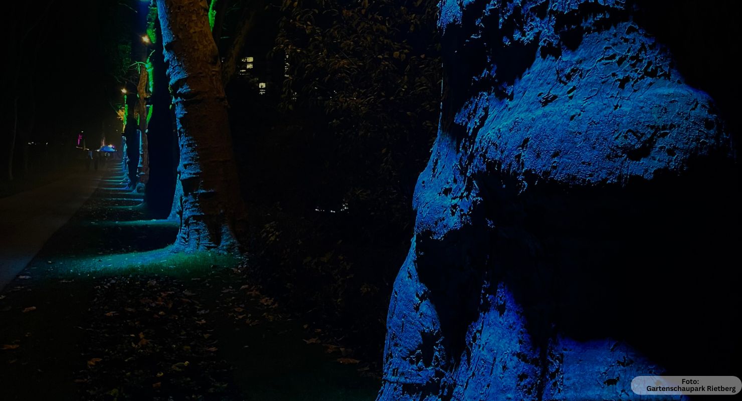 Header Traumpfade 5 1