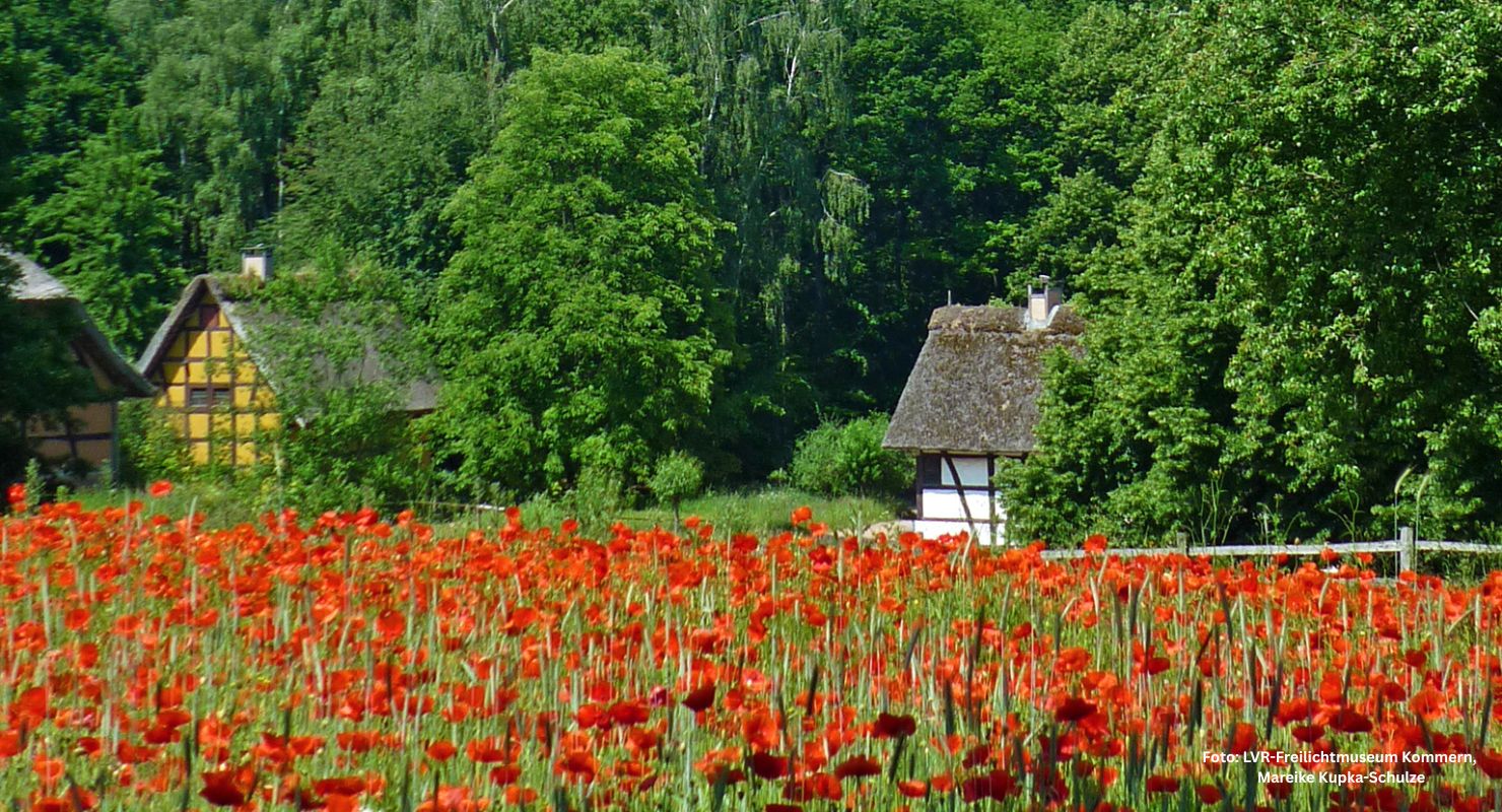 Header LVR Kommern 10