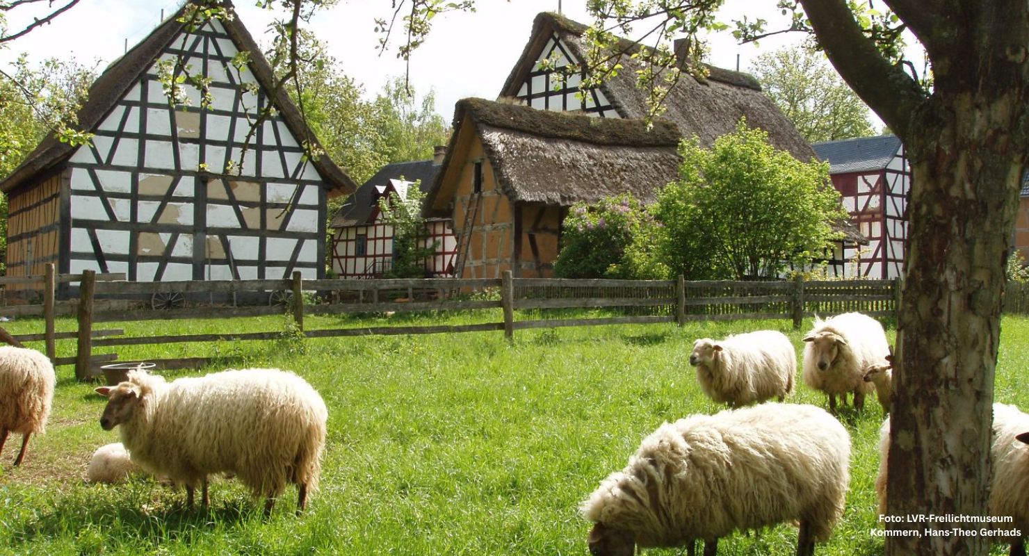 Header LVR Kommern 14