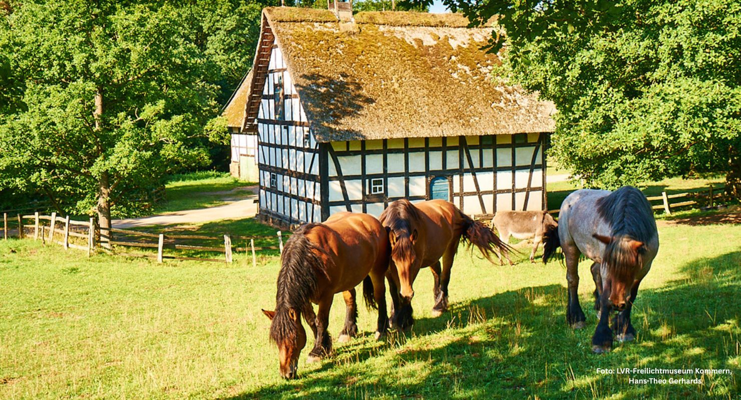 Header LVR Kommern 16