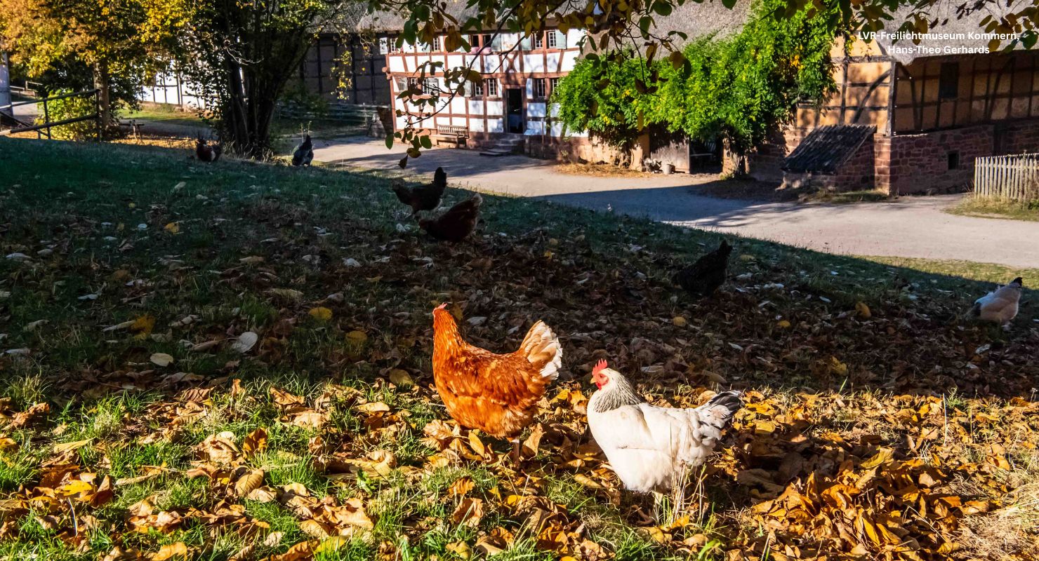 Header LVR Kommern 6