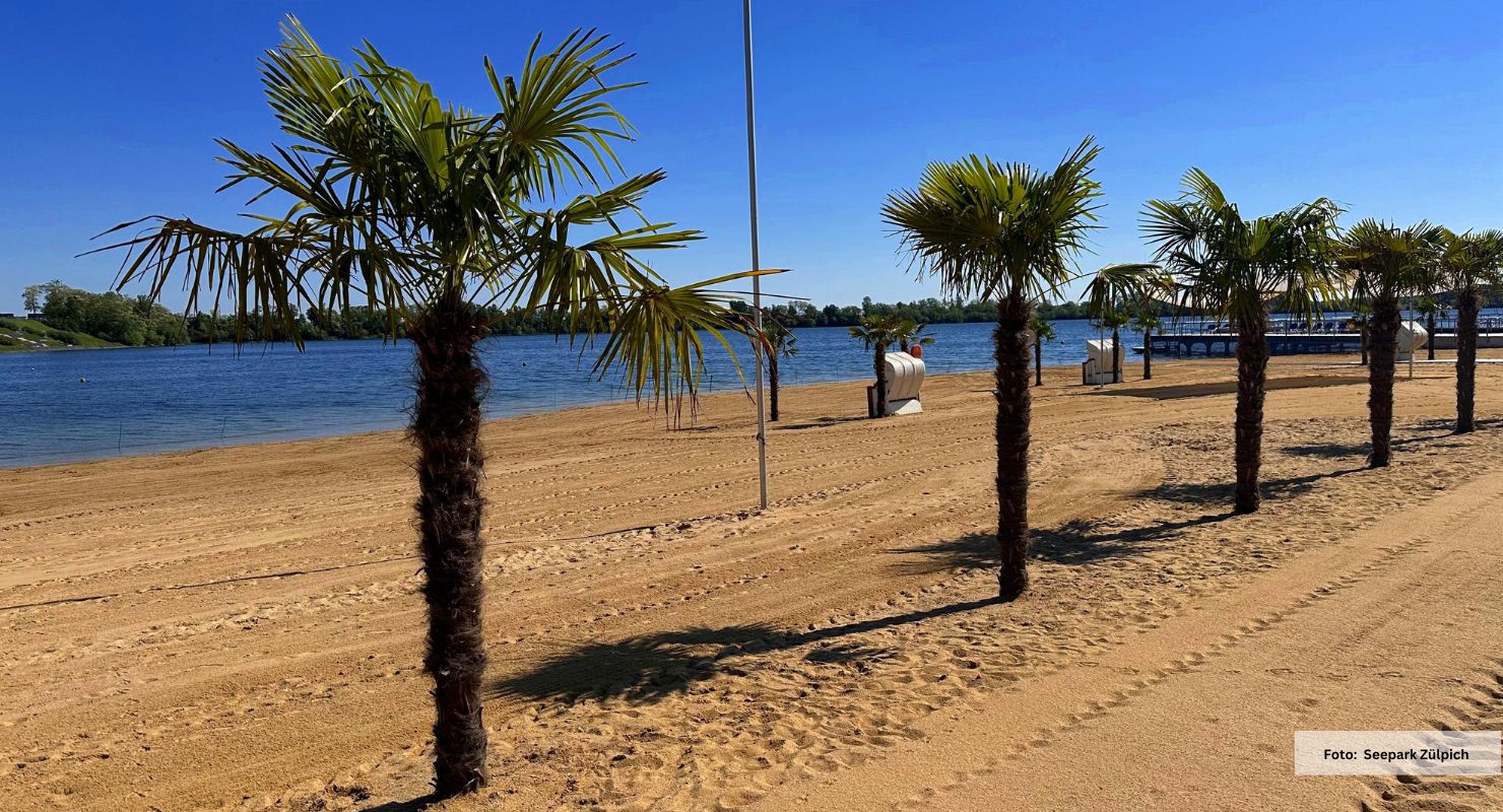 Header Seepark Zuelpich allgemein 1