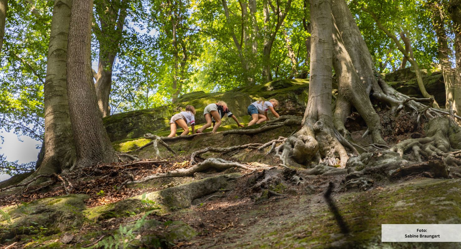 Header Hexenpfad Tecklenburg