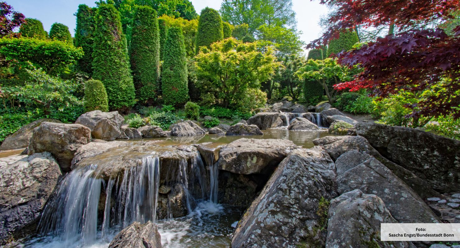 Header Japanischer Garten Bonn
