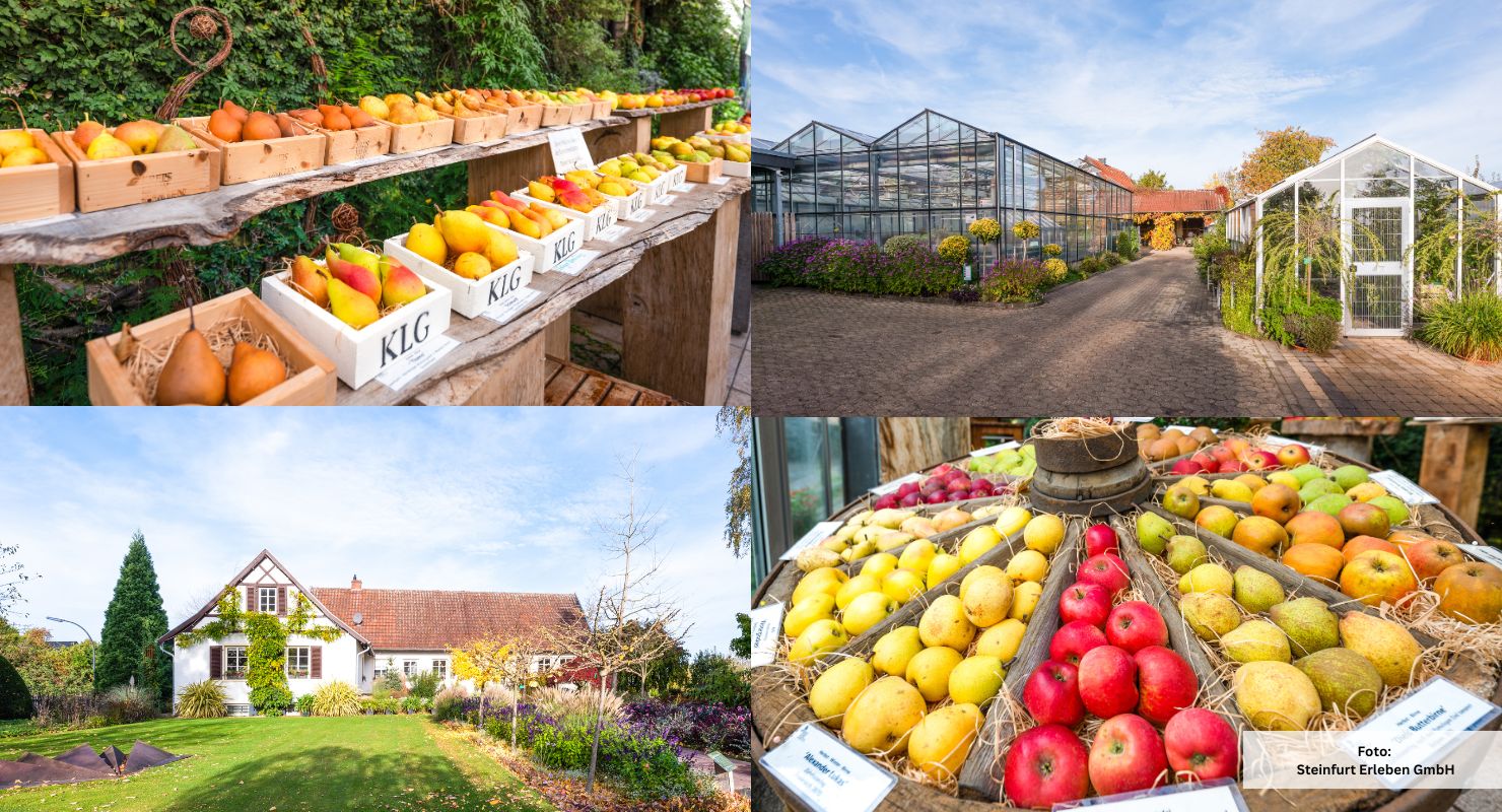 Header Kreislehrgarten Steinfurt