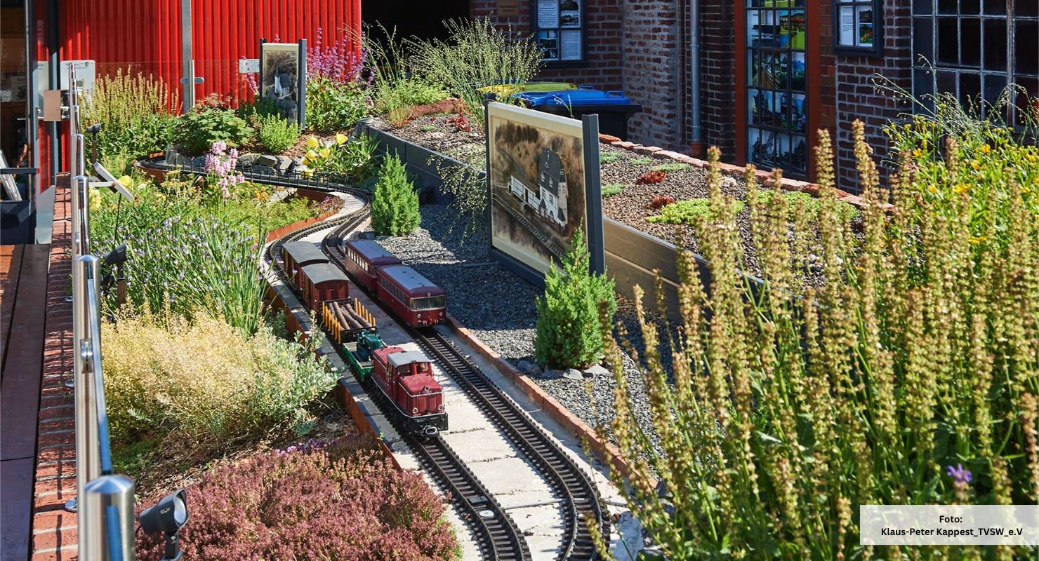Header Modellbahn Bad Berleburg