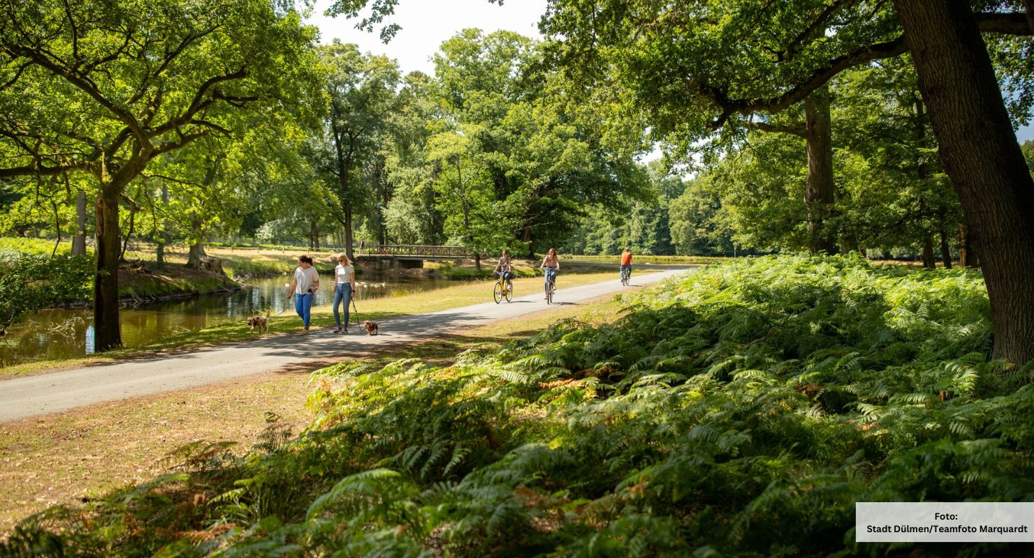 Header Naturwildpark Duelmen