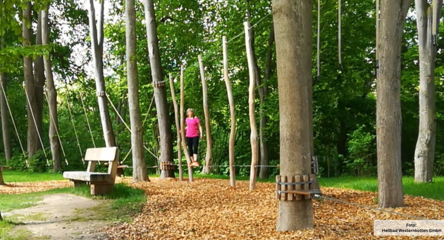 Header Niedrigseilgarten Bad Westernkotten