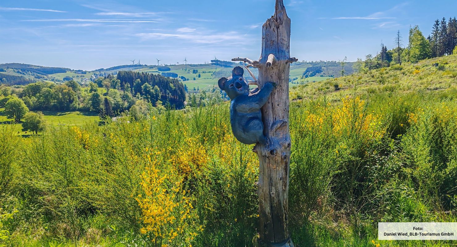 Header Skulpturenweg Wunderthausen