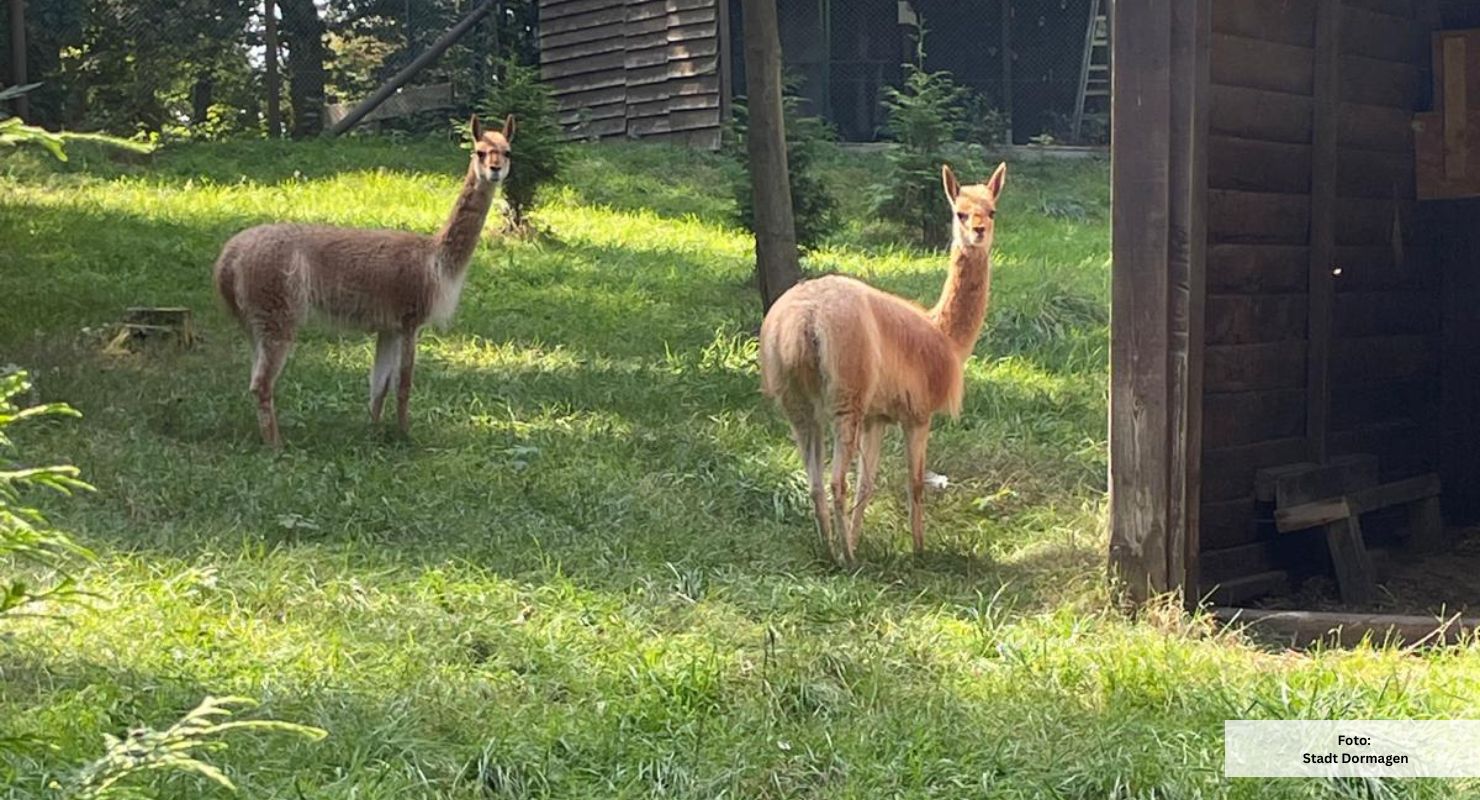 Header Tierpark Tannenbusch