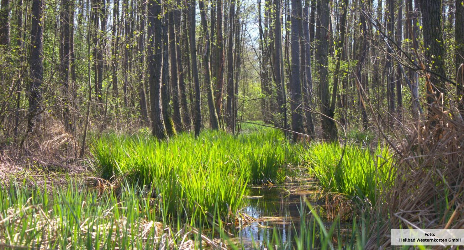 Moor Bad Westernkotten