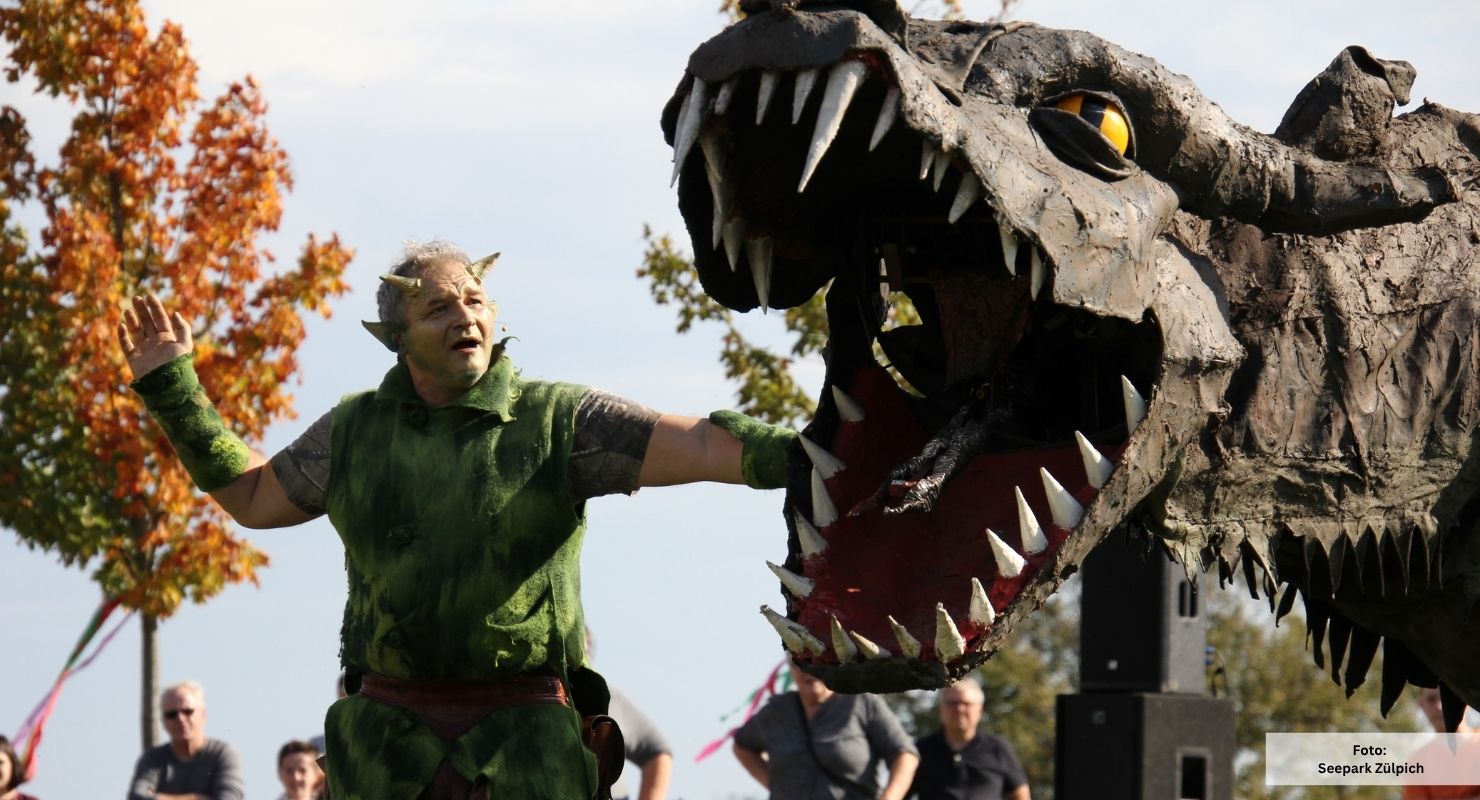 Drachenfest Seepark Zuelpich 1