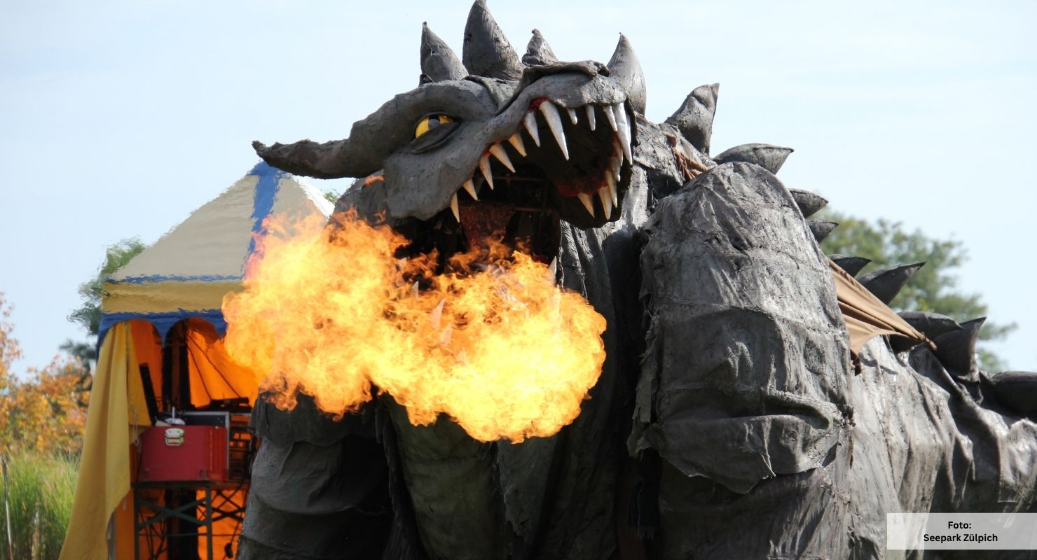 Drachenfest Seepark Zuelpich 3 1