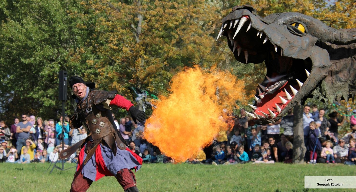Drachenfest Seepark Zuelpich 5