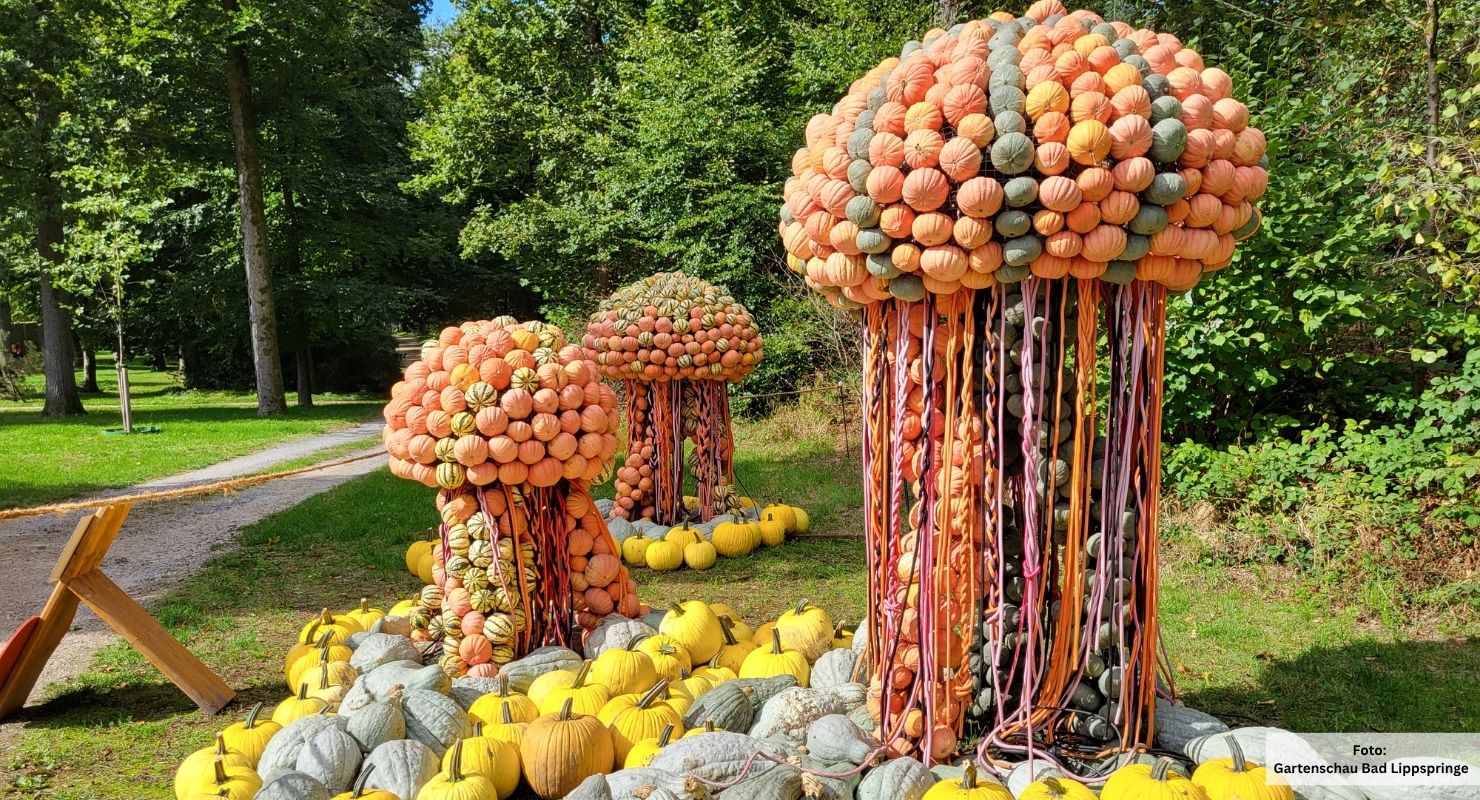 Header Kuerbisfestival 3 2