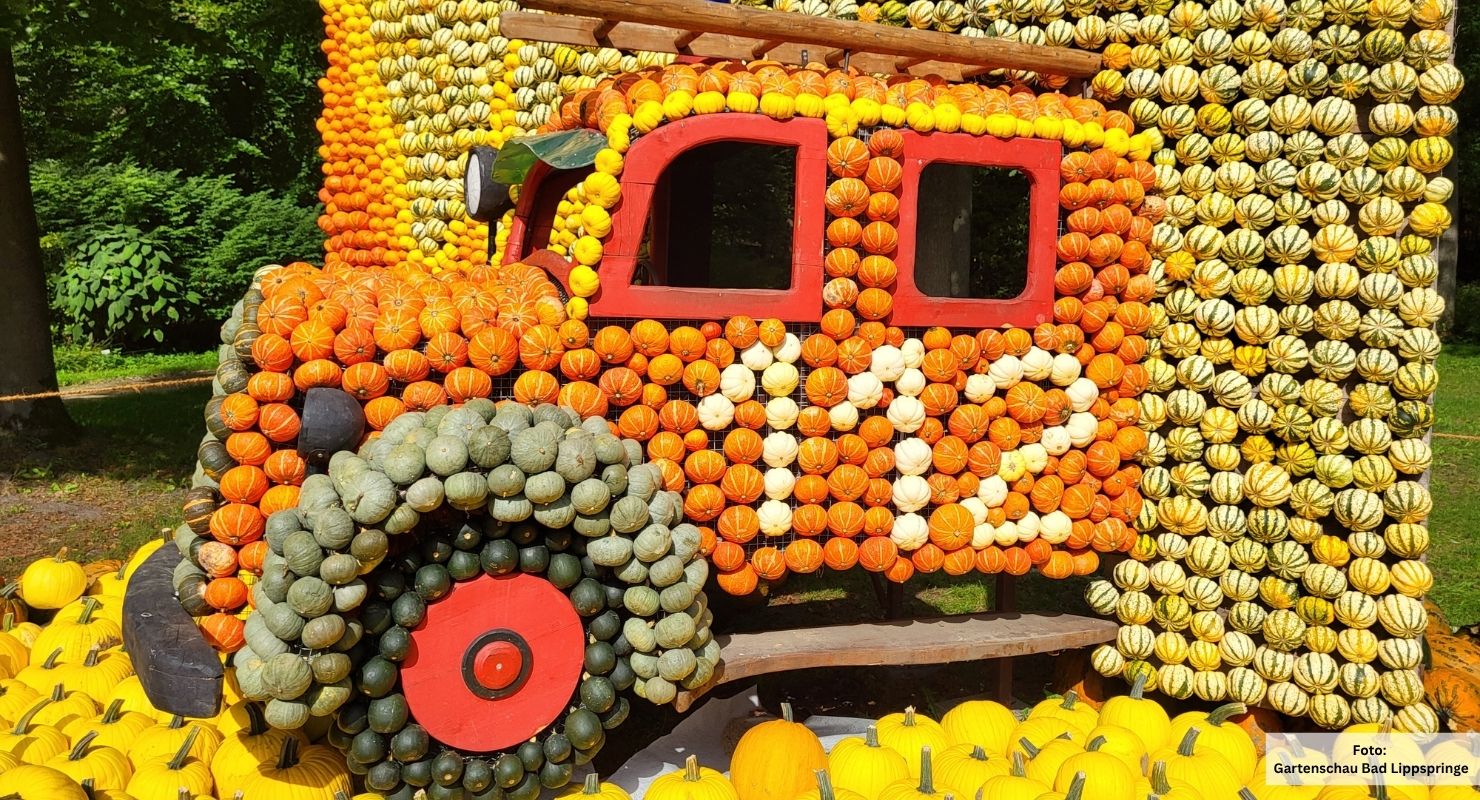 Header Kuerbisfestival 4