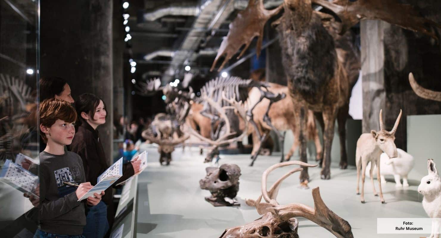 Neu Ruhrmuseum eiszeit 2