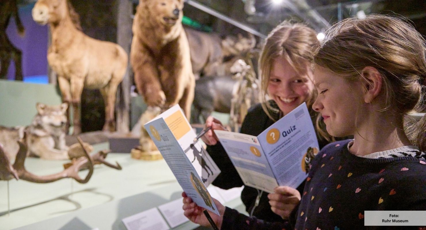 Neu Ruhrmuseum eiszeit 6