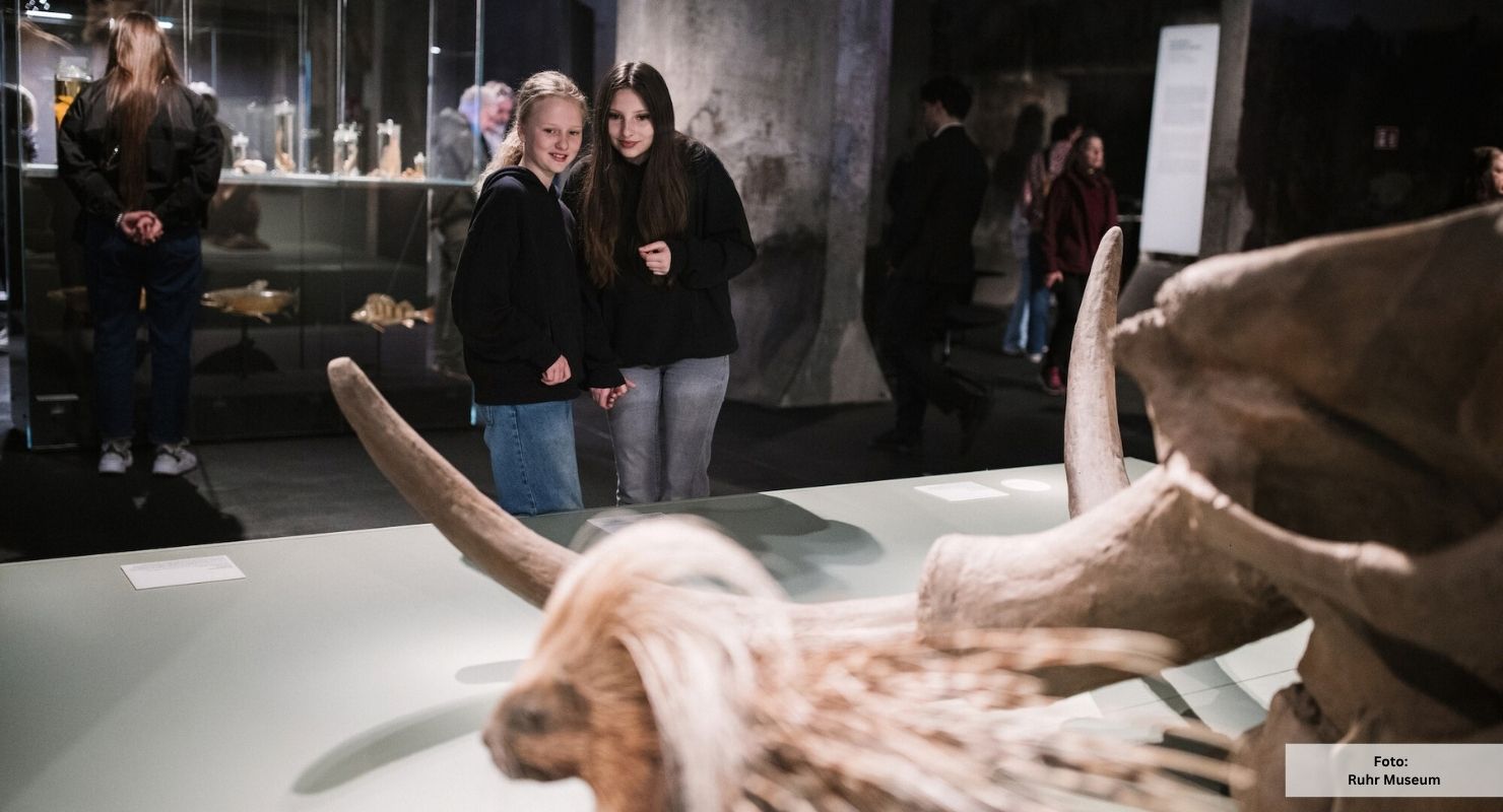 Neu Ruhrmuseum eiszeit 9